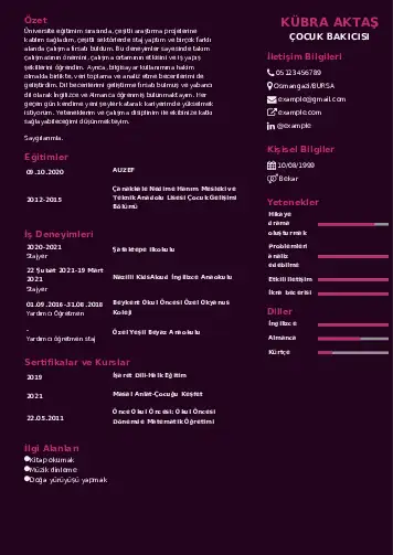 Çocuk Bakıcısı CV Örnekleri cv indir